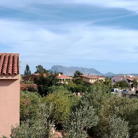 Tucano Single San Teodoro (Sardinia)